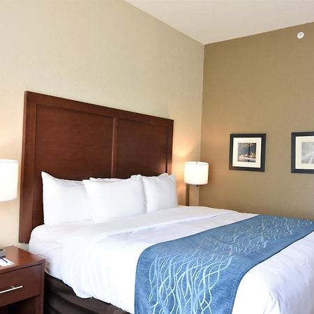 Comfort Inn & Suites Рок-Хилл Экстерьер фото